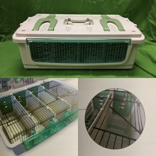 Cage safari-500×500 Cage safari-500×500