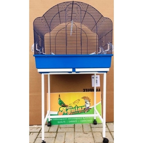 IMG_2573-500×500 IMG_2573-500×500