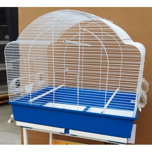 IMG_2577-500×500 IMG_2577-500×500