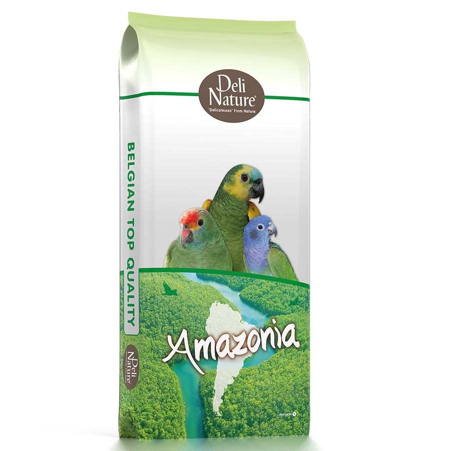 deli nature-22_papegaai_amazonia deli nature-22_papegaai_amazonia