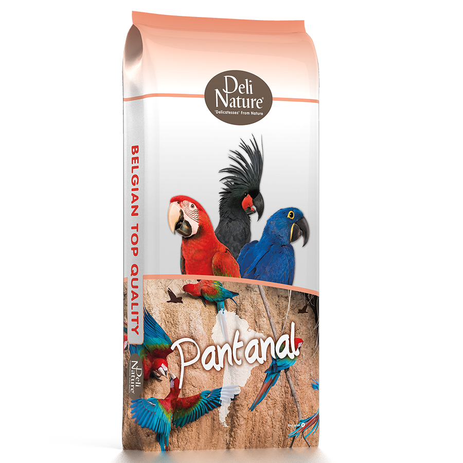 deli nature-23_papegaai_pantanal deli nature-23_papegaai_pantanal