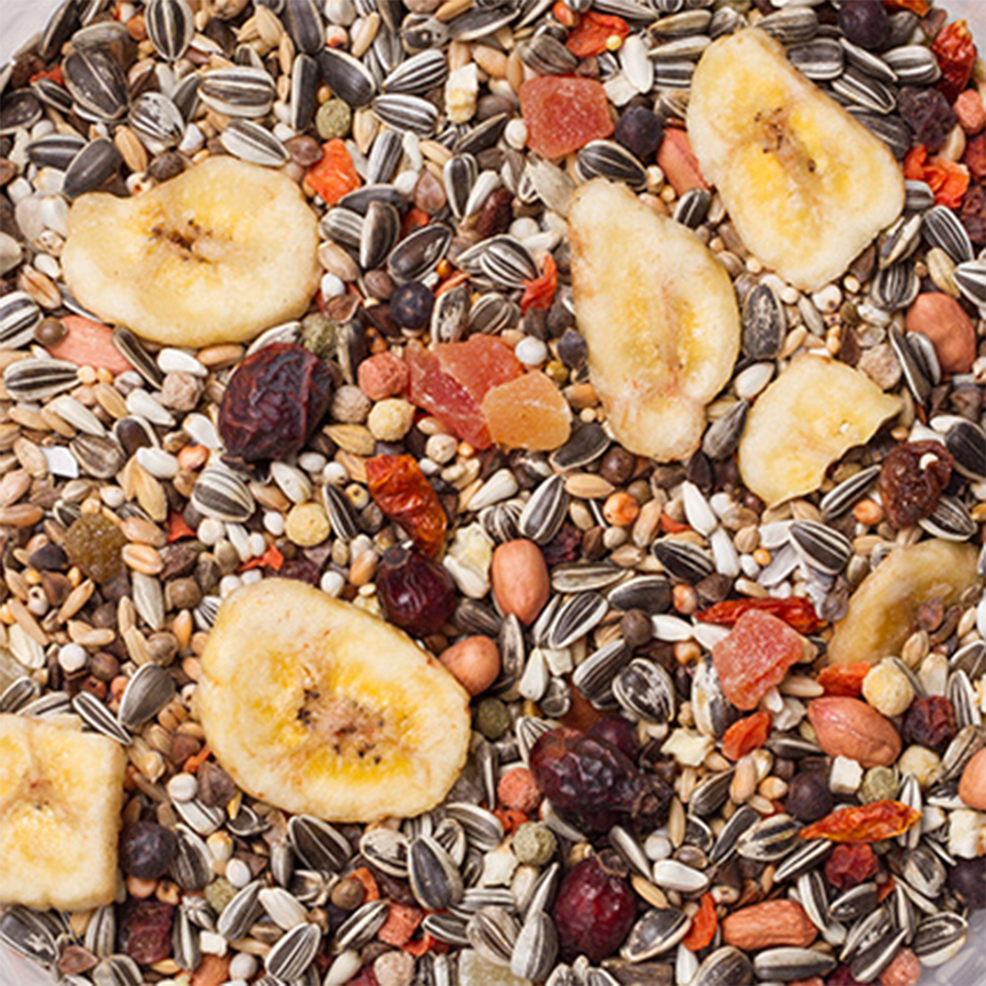 delinature_22_-_amazonia_2 delinature_22_-_amazonia_2