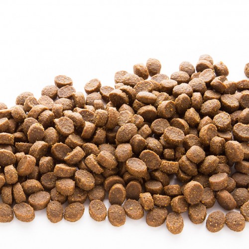 EP-Adult-Medium-Degestions-500×500 (1) EP-Adult-Medium-Degestions-500×500 (1)