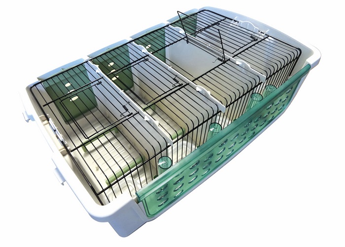 NZ99-rete-nera NZ99-rete-nera