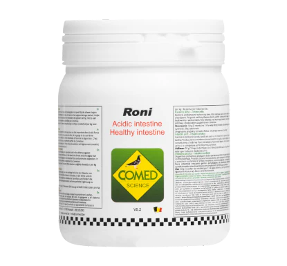 Roni Pigeon Roni Pigeon