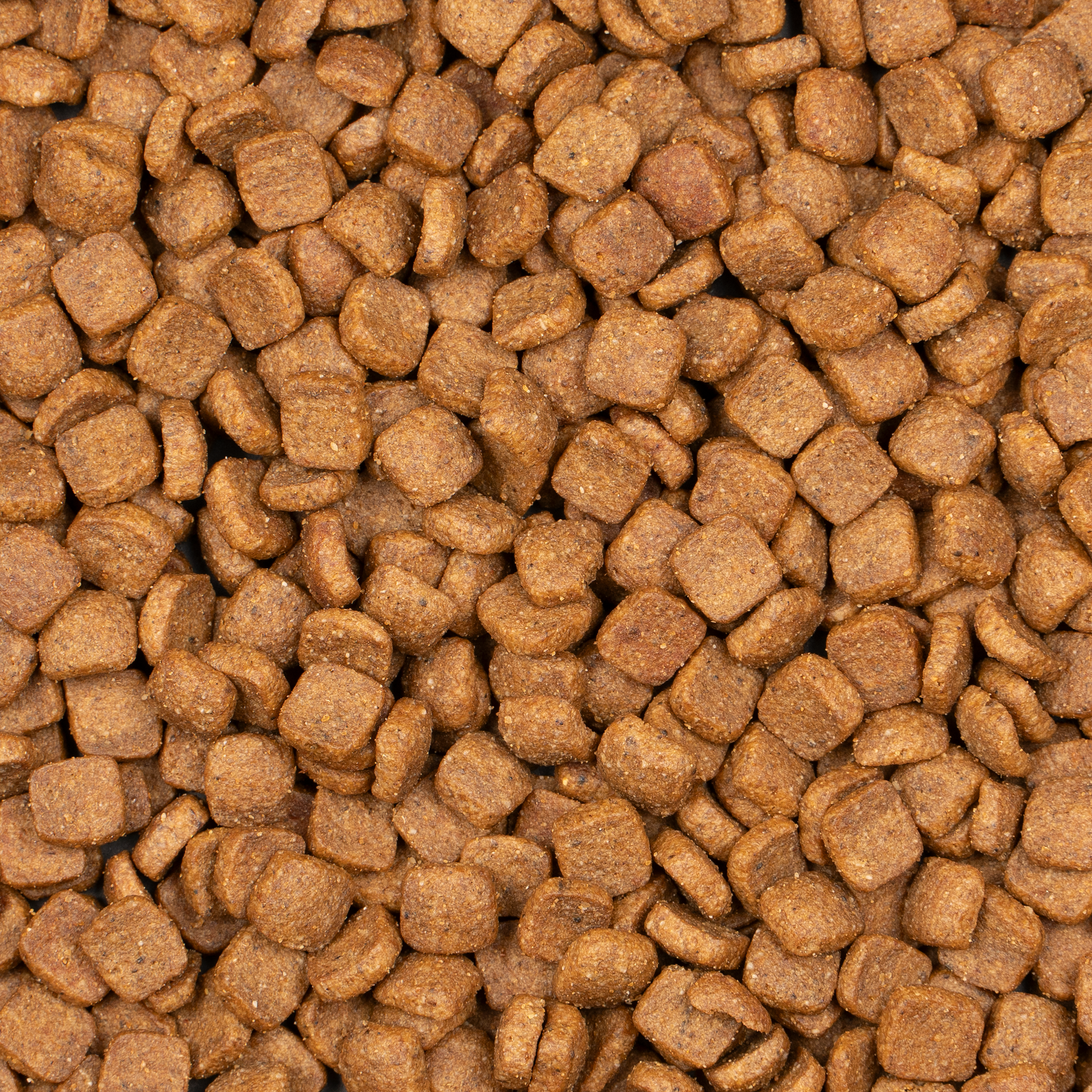 voskes-cat-adultstrilise voskes-cat-adultstrilise