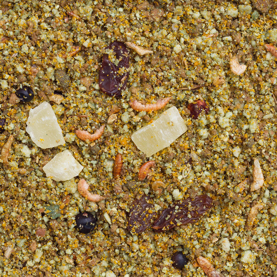 delinature_vruchtenpaté delinature_vruchtenpaté