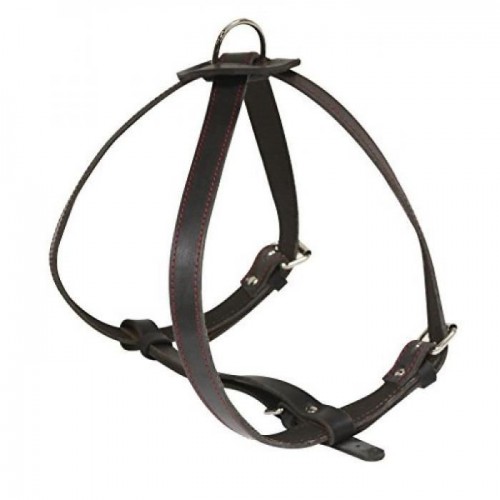 croci-harnais-pour-chien-elite-x-en-cuir-noir-60-c-500×500 croci-harnais-pour-chien-elite-x-en-cuir-noir-60-c-500×500