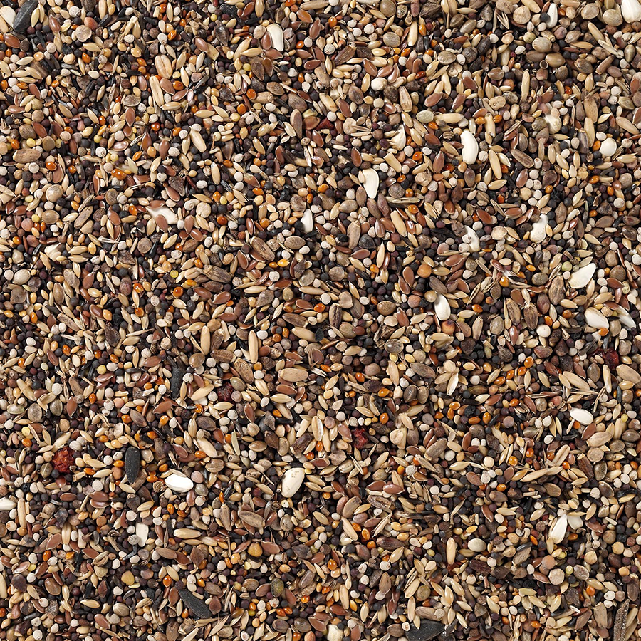 goudvinken_2kg goudvinken_2kg